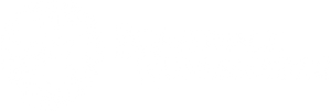 Boardwalk Numismatics logo Boardwalk Numismatics business logo