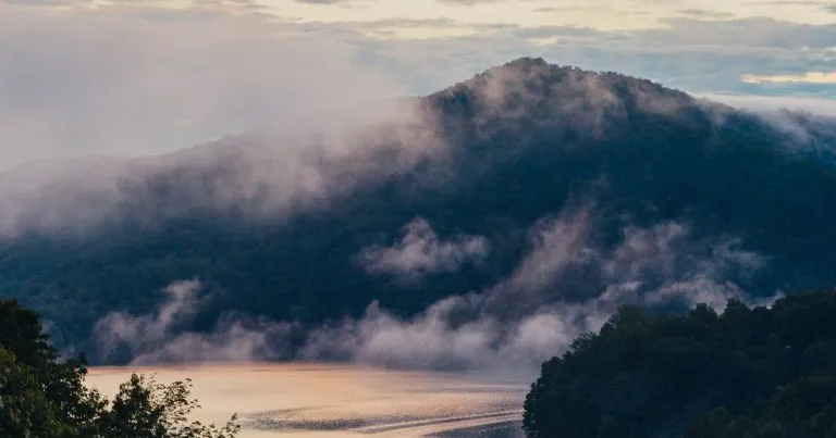 North Carolina TSERS to Gold IRA Rollover: What State Employees Need to Know