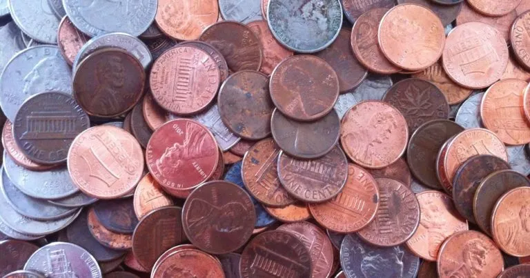 Should You Grade Your Bullion Coins? An Honest Cost-Benefit Answer